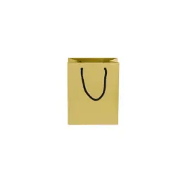 230gsm Matte Gift Bag - 14cm Gold Front